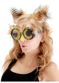 Owl Accessory Kit