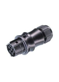 WIELAND Montáž na kabel Konektor Zásuvka, 5 Póly, 20A, 400V - RST20I5S B1 ZR1 SW