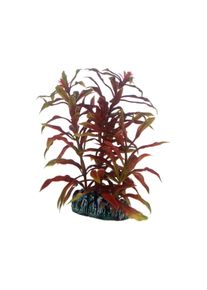 Hobby dekorace do akv&aacute;ria Nesaea 13 cm