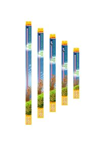 Sera LED X-Change Tube osvětlení plantcolor sunrise 660 mm / 8,3 W