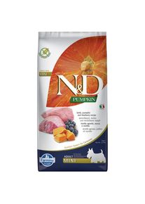 7kg N&D Pumpkin Canine Lamb & Blueberry Adult Mini Farmina suché krmivo pro psy