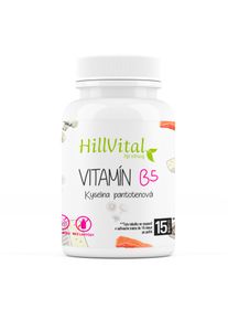 HillVital Vitamín B5 100 kapslí