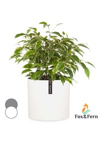 Fox & Fern Venlo, květináč, Polystone, interiér a exteriér, 3 velikosti