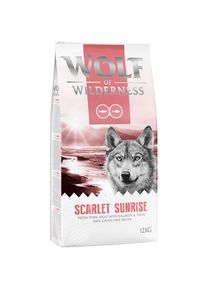 12kg Wolf of Wilderness "Scarlet Sunrise" - losos a tuňák
