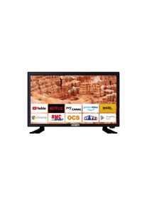 Antarion Smart TV, 19"(48cm), 12/24/220V, schwarz