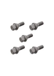 Felgen-Schraubensatz Ducato 230/244, 5Stk