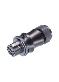 WIELAND Konektor, Samec Zástrčka, 5 Póly, 20A, 400V - RST20I5S S1 ZR1 V SW