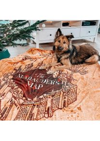 Harry Potter - Karte des Rumtreibers Flauschdecke mit Teddyfell