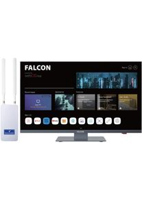 Falcon WebOS SMART Combo Camping TV 27" (68cm), DVD, HD-Ready, BT 5.0 mit 4G Router