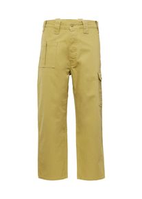 Levi's Levi's Skateboarding Muži Kapsáče 'Skate New Utility Pant' zelená 33