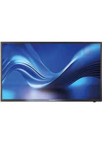 Alphatronics SL-24 DW LED TV 24" (60cm), Triple Tuner, DVD, BT 5.0, SMART TV, schwarz