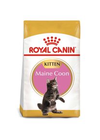 Royal Canin Maine Coon granule pro koťata 10 kg