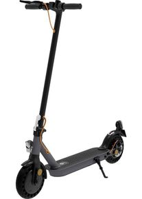 Trekstor Scooter EG3178 E-Scooter E-Roller Li-Ion 36V 7,5Ah Straßenzulassung schwarz grau