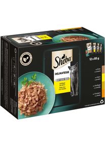 Sheba Delikatesse drůbež&iacute; maso v žel&eacute; variace 96 &times; 85 g