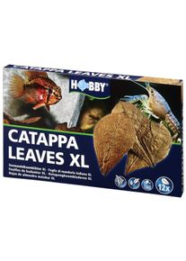 Hobby Catappa Leaves listy velikosti XL, 12 kusů