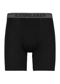Icebreaker Anatomica Long Boxers Merino base layer Men (L, black)