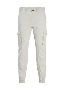 Jack & Jones JACK & JONES Muži Kapsáče 'JJIPAUL JJFLAKE' světle šedá 28