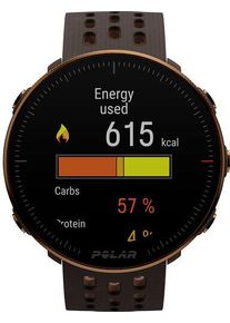 Polar Vantage M2 Smartwatch Fitness-Uhr Sportuhr S/L Multisport Sensor braun kupfer