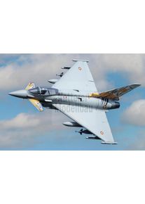 Freewing Eurofighter Typhoon grau EPO 1030mm High Performance 6s PNP