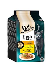 Sheba fresh cuisine taste of rome krůta, kuře & drůbež 36x50 g