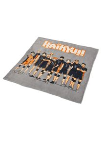 Haikyu!! - Crew Flauschdecke