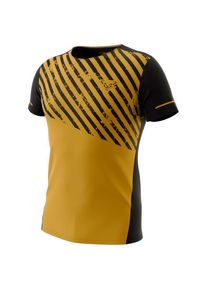 Dynafit Alpine 2 S/S Tee Running shirt Men (L, brown)
