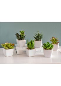 Umělé květiny (6dílná souprava) | Zelená | Vel. 0 (5,5/8 cm) | bonprix