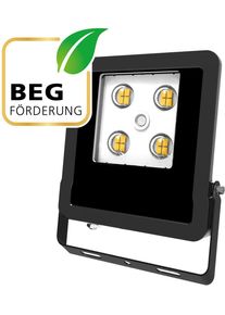 EVN Lichttechnik EVN PANTHERA LED Fluter, IP65, 10W, 4000K, 1200lm, 220-240V/AC, schwarz (LFE100940)