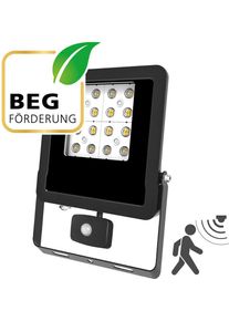 EVN Lichttechnik EVN PANTHERA LED Fluter, IP44, 30W, 4000K, 3600lm, 220-240V/AC, mit Bewegungsmelder, schwarz (LFE300940BM)