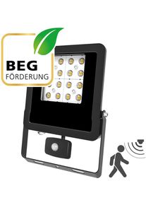EVN Lichttechnik EVN PANTHERA LED Fluter, IP44, 50W, 4000K, 6000lm, 220-240V/AC, mit Bewegungsmelder, schwarz (LFE500940BM)