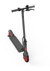 Segway-Ninebot Zing C20 E-Roller E-Scooter Elektro-Tretroller 5000mAh grau