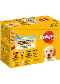 24x100 g Pedigree Junior Multipack kapsičky míchaný výběr v želé (4 druhy)
