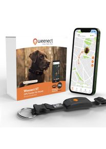 Weenect XT GPS tracker pro psy od 6 kg čern&aacute;