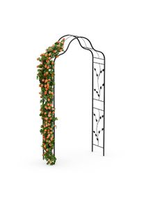 Blumfeldt FloraBelle Cupola oblouk, ozdobné vzory listů, odolný vůči povětrnostním vlivům, podpora popínavých rostlin