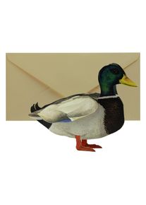 3D card: Mallard