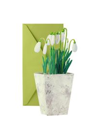 3D card: Snowdrops