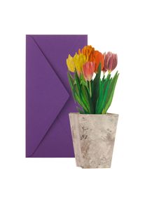 3D card: Colourful tulips