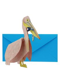 3D card: Pelican