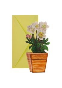 3D card: Christmas rose