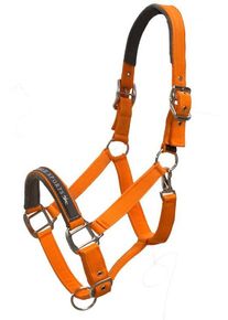 Schockemöhle Sports Schockemöhle Memphis SP Halfter, orange, VB