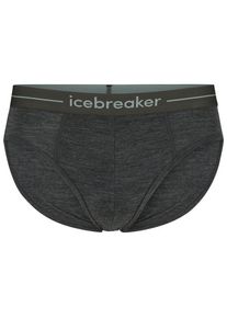 Icebreaker Anatomica Briefs Merino base layer Men (L, grey)