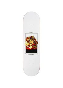 skatedeluxe Rose 8.25" Skateboard Deck white