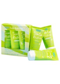 Umberto Giannini Scalp Startovací sada Restore Šampony na poškozené vlasy