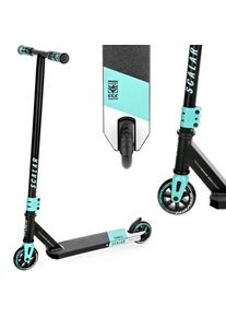 Raven Evolution Scalar Mint