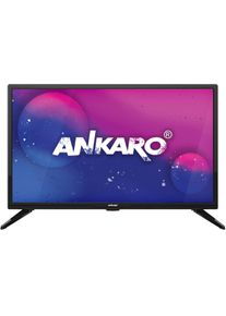 Ankaro CL 2402- LED-TV 24"(60cm), Triple-Tuner, Easyfind