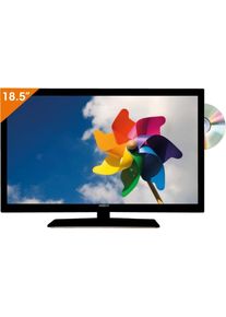 Antarion LED-TV, 19" (48cm), DVD, DVB-T2, 12V-Anschluss, schwarz