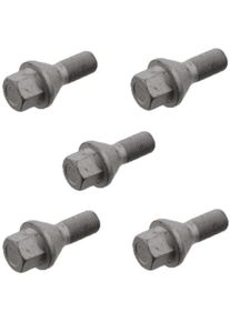 Felgen-Schraubensatz Ducato 230/244, 5Stk