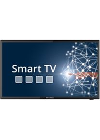 Megasat Royal Line IV - 22 - Smart LED-TV 21,5" (54,6cm), Triple-Tuner, WiFi, Bluetooth