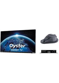 TenHaaft Oyster Connect Vision LTE/WiFi Antenne inkl. Smart TV 19,5" (50cm)