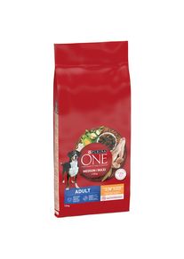 12kg PURINA ONE Medium/Maxi Adult kuřecí